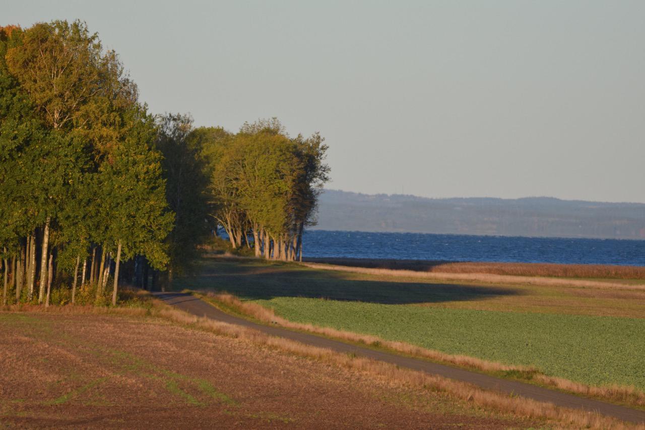 Wingarden B & B Säffle Zewnętrze zdjęcie
